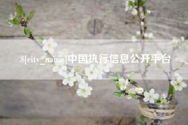 大庆中国执行信息公开平台