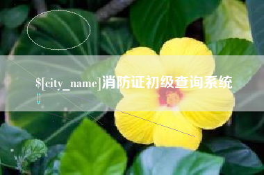大庆消防证初级查询系统