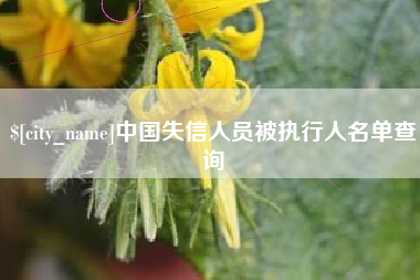 大庆中国失信人员被执行人名单查询
