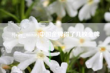 大庆中国金牌得了几枚金牌