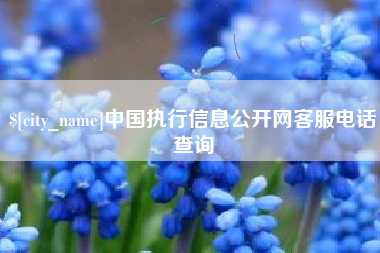 大庆中国执行信息公开网客服电话查询