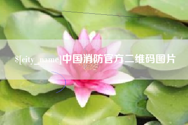 大庆中国消防官方二维码图片