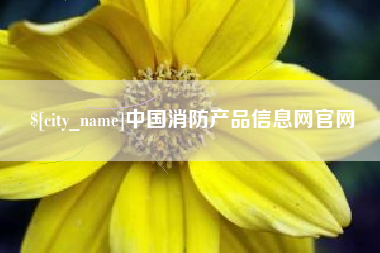 大庆中国消防产品信息网官网