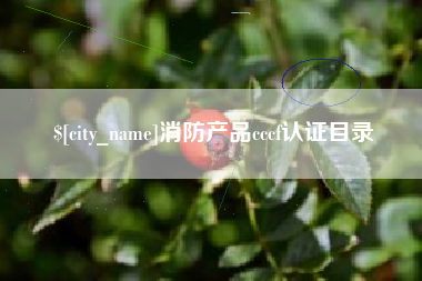 大庆消防产品cccf认证目录