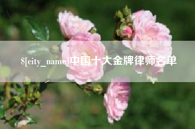 大庆中国十大金牌律师名单