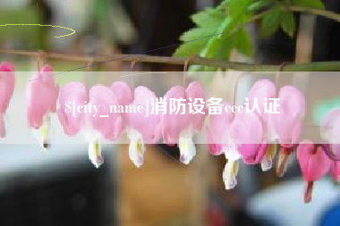 大庆消防设备ccc认证
