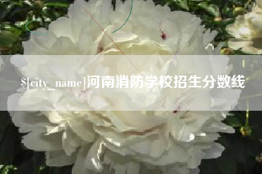 大庆河南消防学校招生分数线