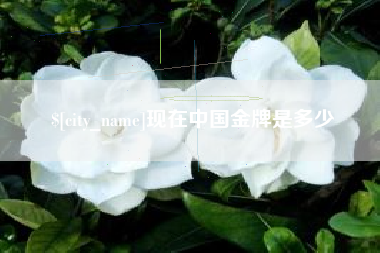 大庆现在中国金牌是多少