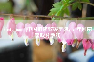 大庆中国消防救援学院2020年河南录取分数线