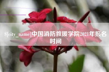 大庆中国消防救援学院2021年报名时间