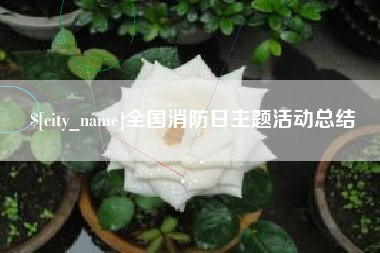 大庆全国消防日主题活动总结