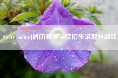 大庆消防救援学院招生录取分数线