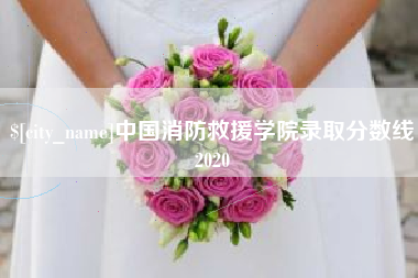 大庆中国消防救援学院录取分数线2020