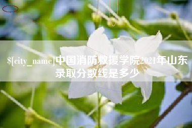 大庆中国消防救援学院2021年山东录取分数线是多少