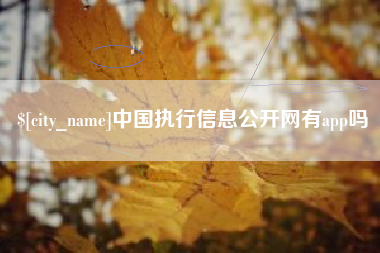 大庆中国执行信息公开网有app吗