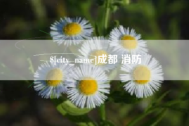 大庆成都 消防