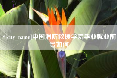 大庆中国消防救援学院毕业就业前景如何