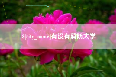 大庆有没有消防大学