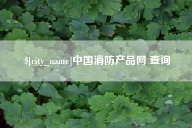 大庆中国消防产品网 查询