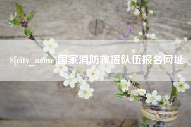大庆国家消防救援队伍报名网址