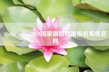 大庆2020国家消防救援报名系统官网