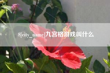 大庆九宫格游戏叫什么