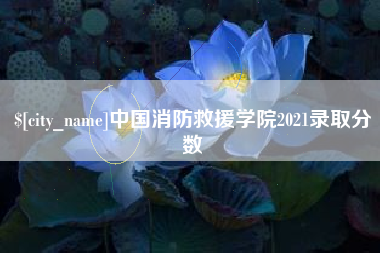 大庆中国消防救援学院2021录取分数