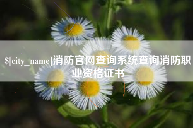 大庆消防官网查询系统查询消防职业资格证书