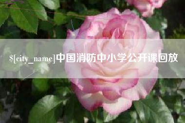 大庆中国消防中小学公开课回放
