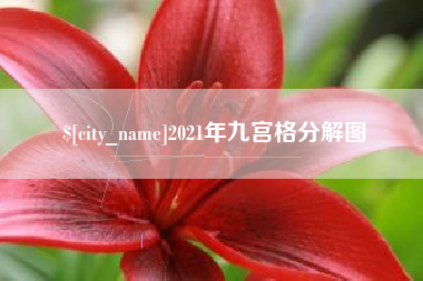 大庆2021年九宫格分解图
