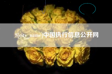 大庆中国执行信息公开网