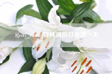 大庆森林消防日是哪一天