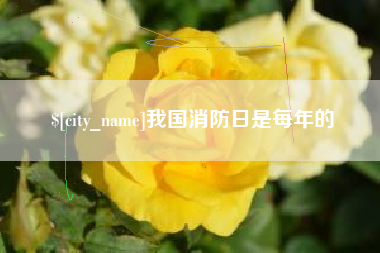 大庆我国消防日是每年的