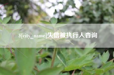 大庆失信被执行人杳询
