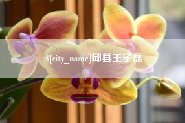 大庆邱县王子磊