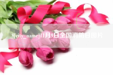 大庆11月9日全国消防日图片
