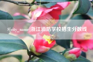 大庆浙江消防学校招生分数线