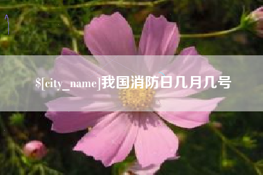 大庆我国消防日几月几号