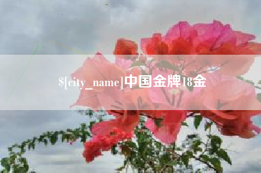 大庆中国金牌18金