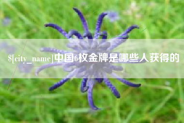 大庆中国6枚金牌是哪些人获得的