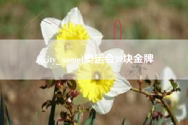 大庆奥运会39块金牌