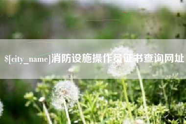 大庆消防设施操作员证书查询网址