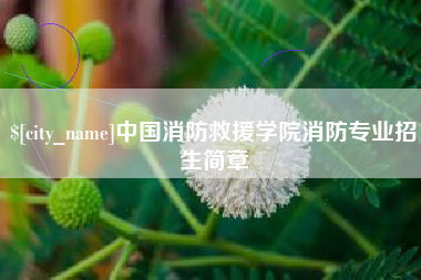 大庆中国消防救援学院消防专业招生简章