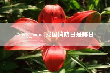大庆我国消防日是哪日