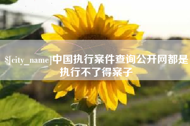 大庆中国执行案件查询公开网都是执行不了得案子
