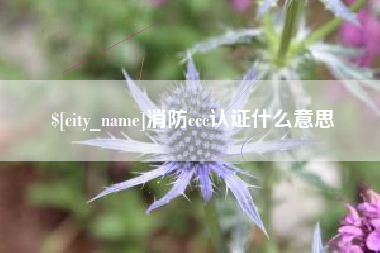 大庆消防ccc认证什么意思