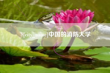 大庆中国的消防大学