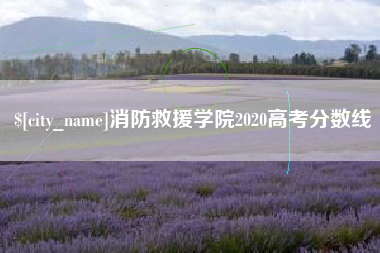 大庆消防救援学院2020高考分数线