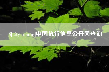 大庆中国执行信息公开网查询