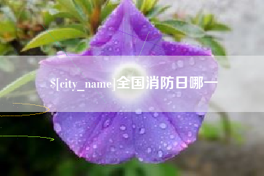 大庆全国消防日哪一